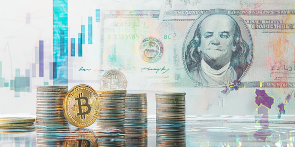 ¿Es Regia Caudència la Solución de Trading en la que Puedes Confiar?